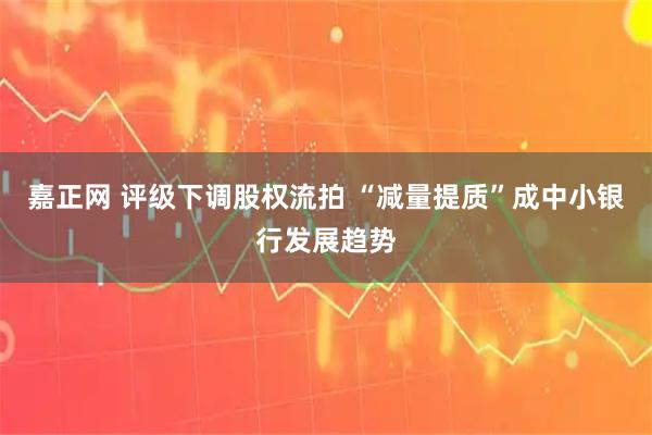 嘉正网 评级下调股权流拍 “减量提质”成中小银行发展趋势