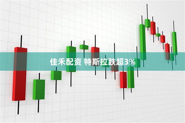 佳禾配资 特斯拉跌超3%
